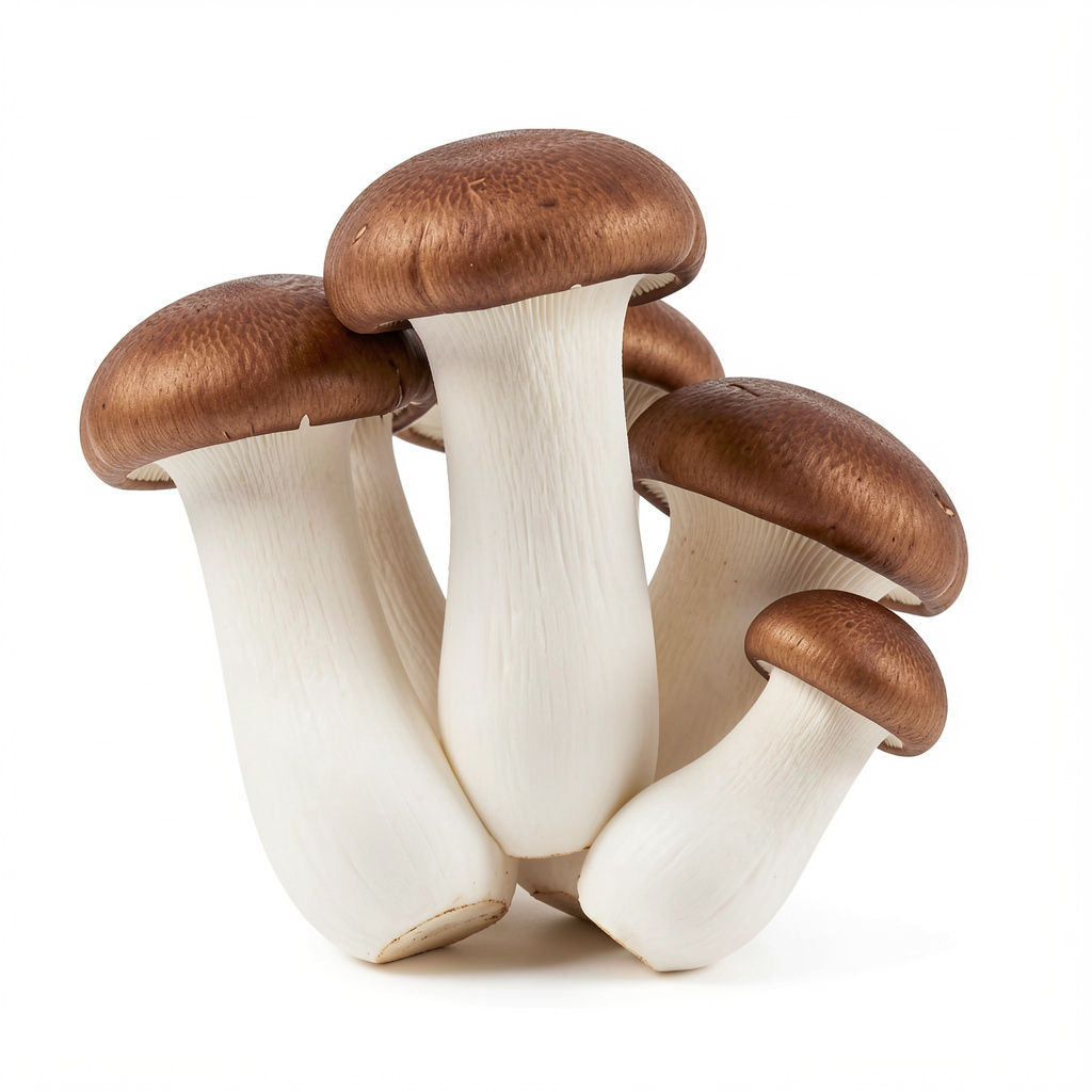 Ering Mushroom