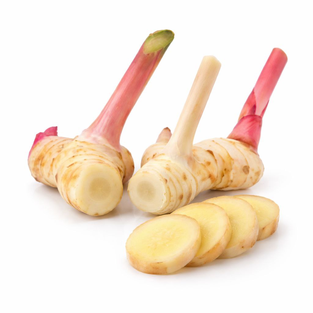 Galangal