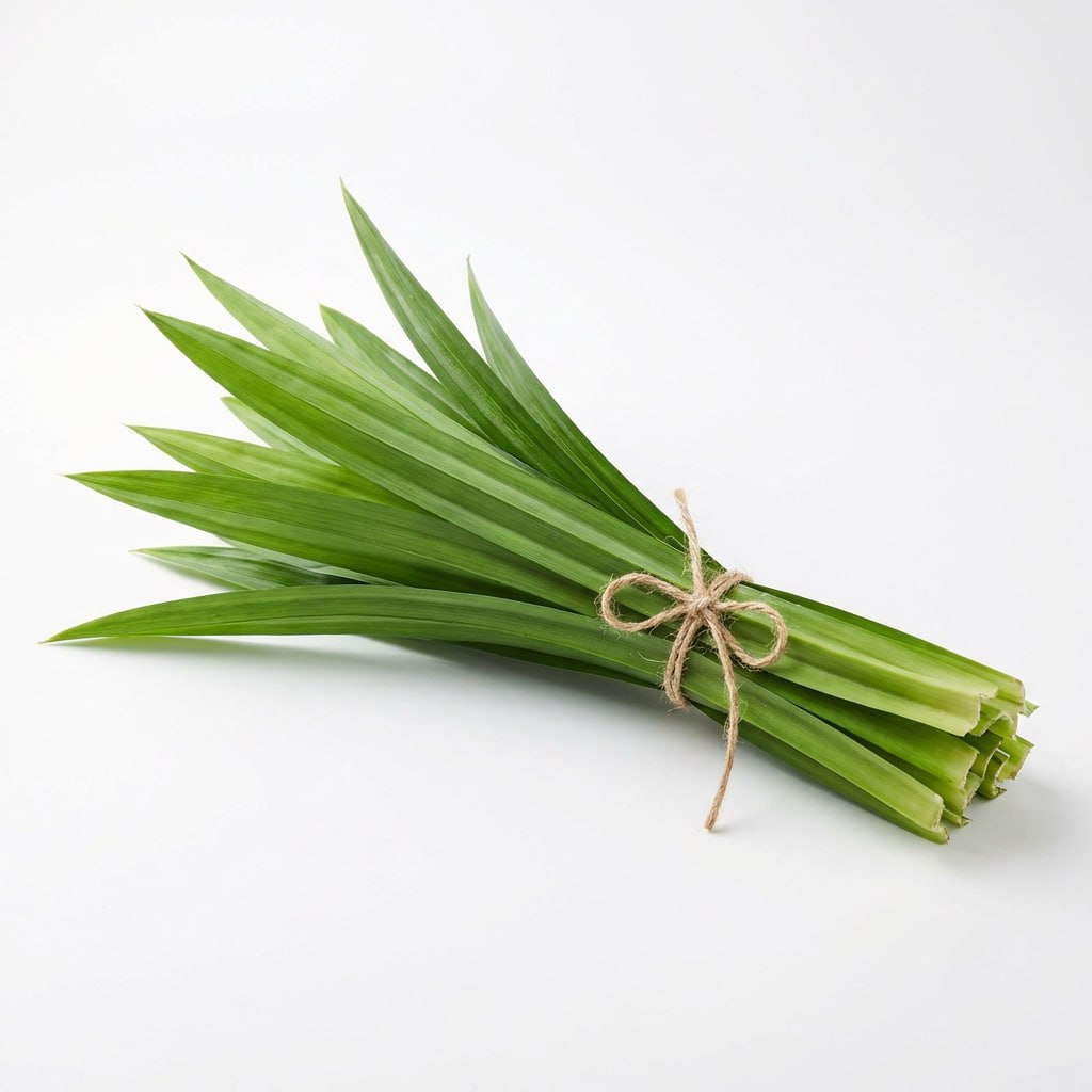 Pandan Leaf
